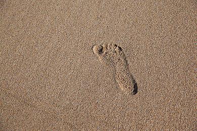 《幻兽帕鲁》收入数百亿日元 但团队还是不想开发3A游戏